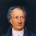 Picture of the person